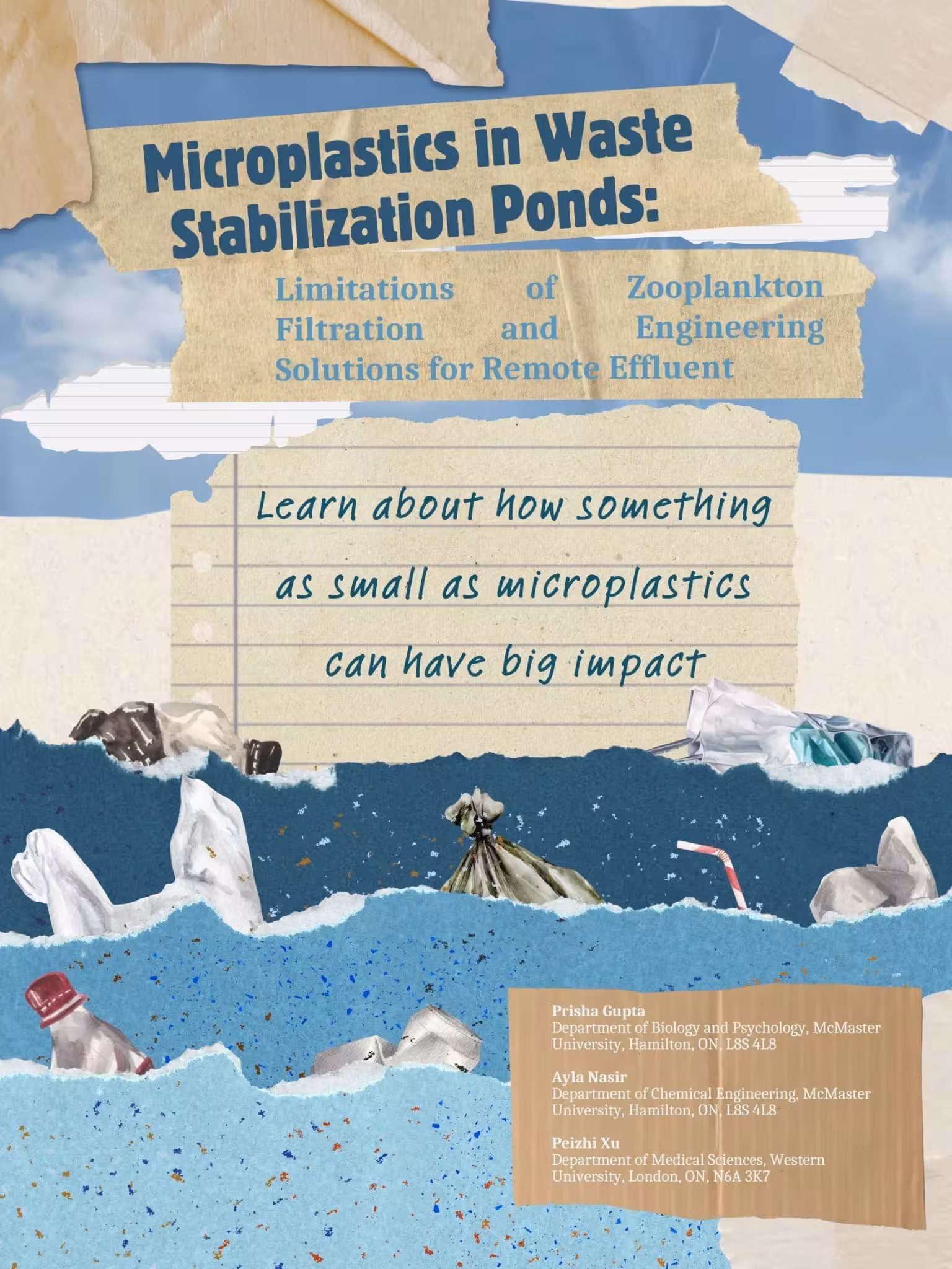 Microplastics in Waste Stabilization Ponds: Limitations of Zooplankton Filtration and Engineering Solutions for Remote Effluent cover image
